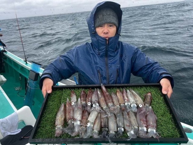 マルイカ(ケンサキイカ)