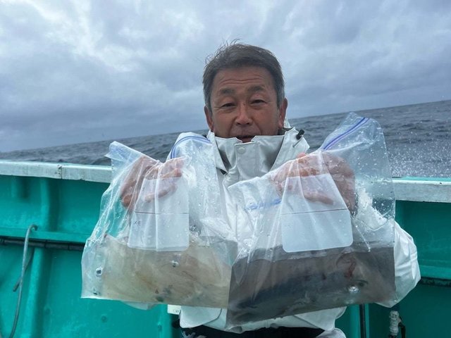 マルイカ(ケンサキイカ)