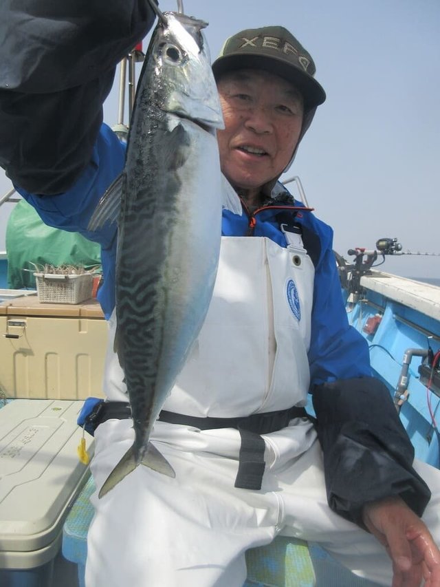 サバ(ゴマサバ)