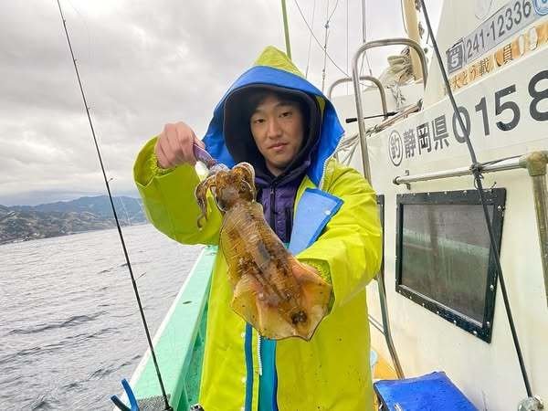 アオリ(アオリイカ)