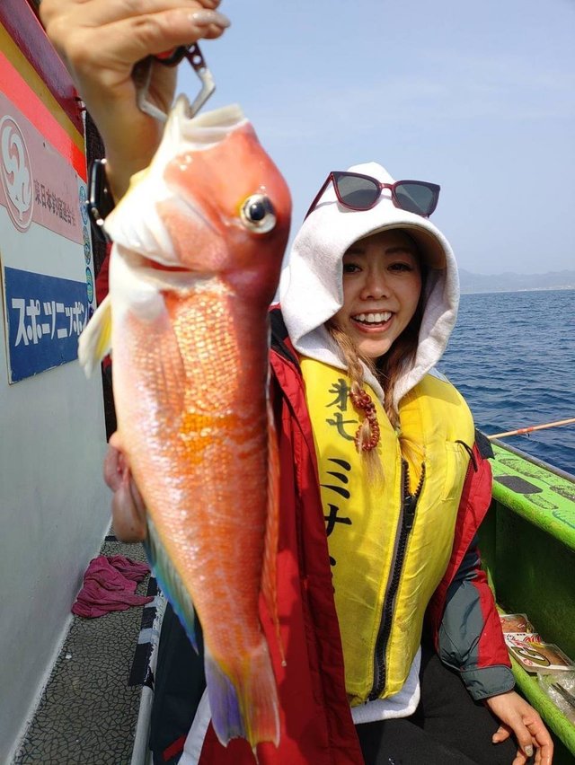 アマダイ(アカアマダイ)