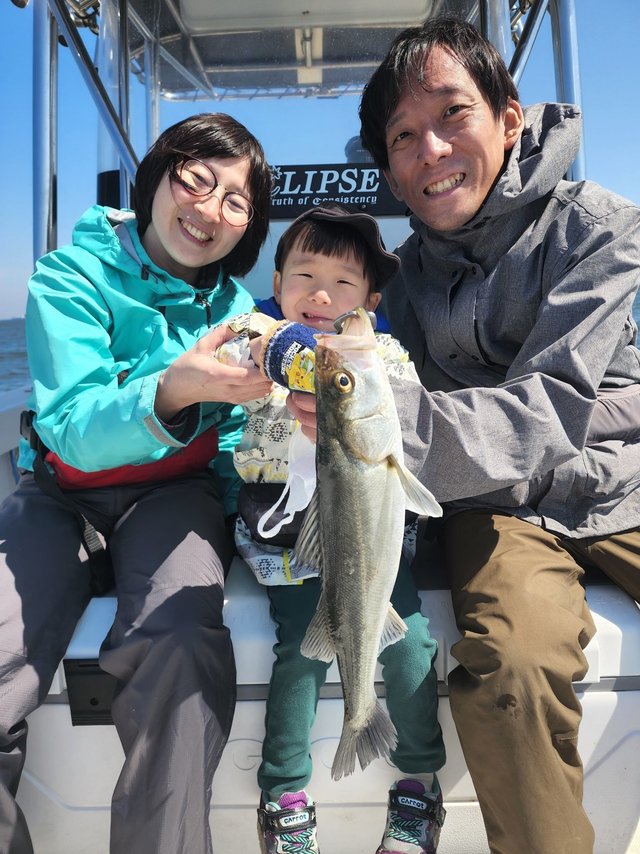 シーバス(スズキ)