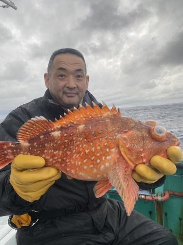 ウッカリカサゴ