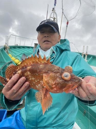 ウッカリカサゴ