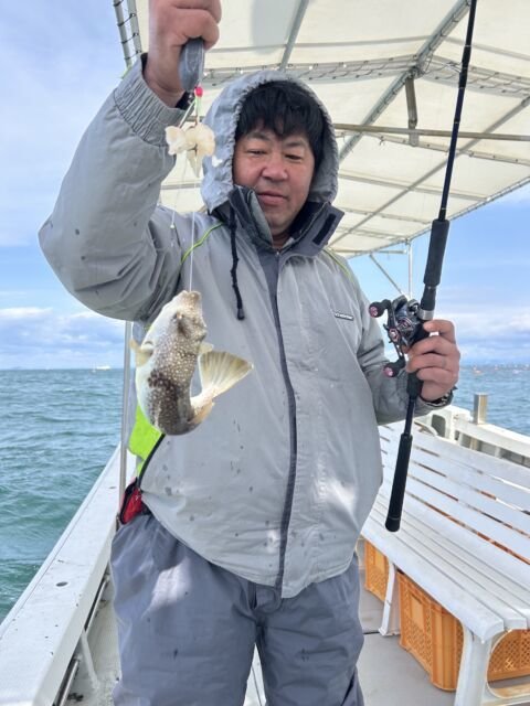 ショウサイフク(ショウサイフグ)