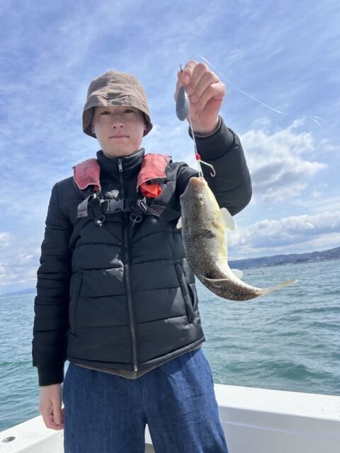 ショウサイフク(ショウサイフグ)