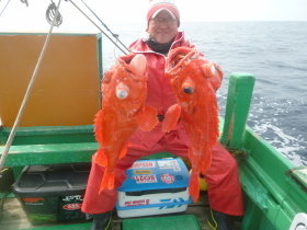 ベニアコウ(オオサガ)