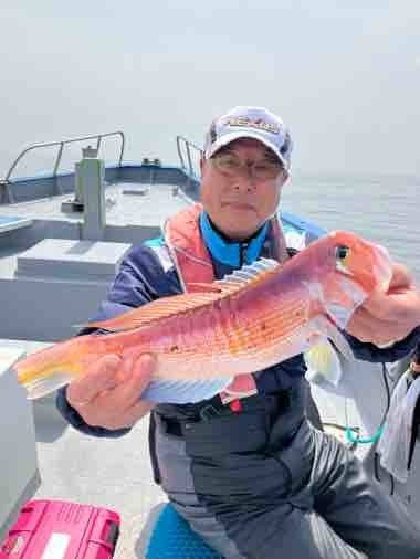 アマダイ(アカアマダイ)