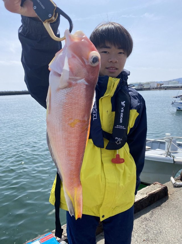 アマダイ(アカアマダイ)