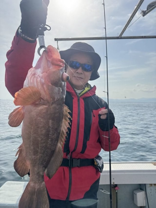 アコウ(キジハタ)