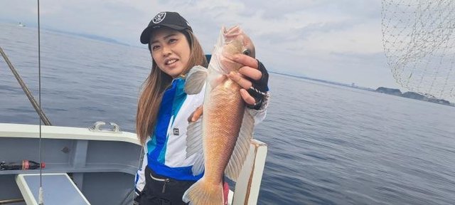 アマダイ(アカアマダイ)