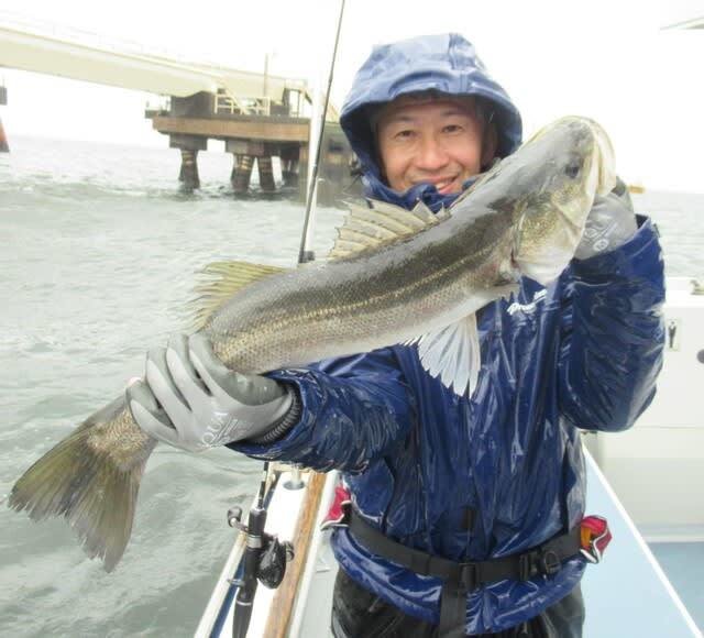 シーバス(スズキ)