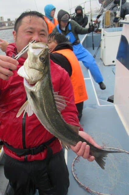 シーバス(スズキ)