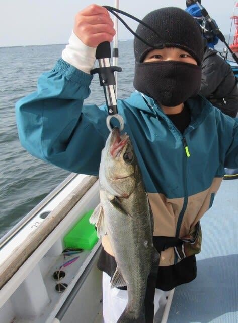 シーバス(スズキ)