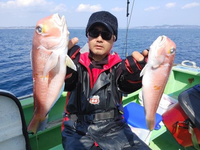 アマダイ(アカアマダイ)