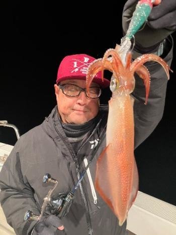 マイカ(ケンサキイカ)