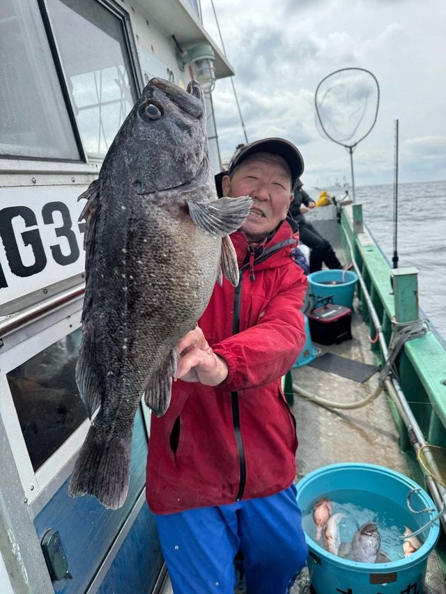 ソイ(クロソイ)