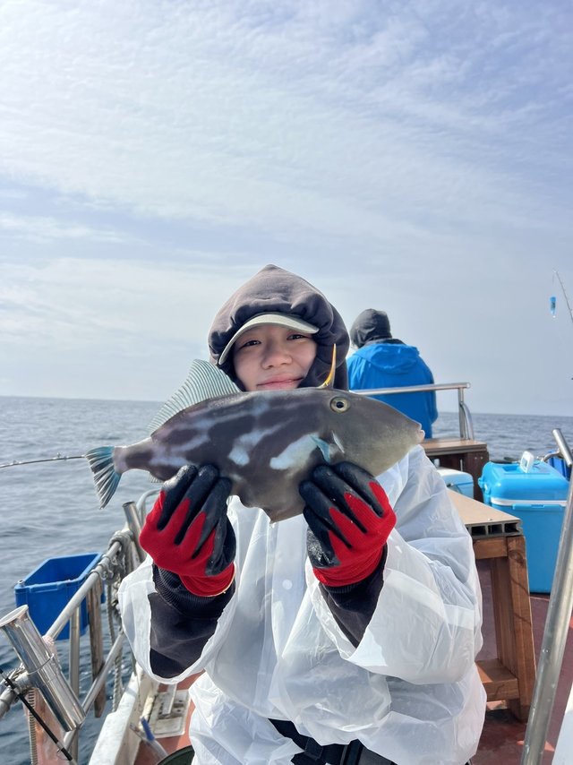 ウマズラハギ(ウマヅラハギ)