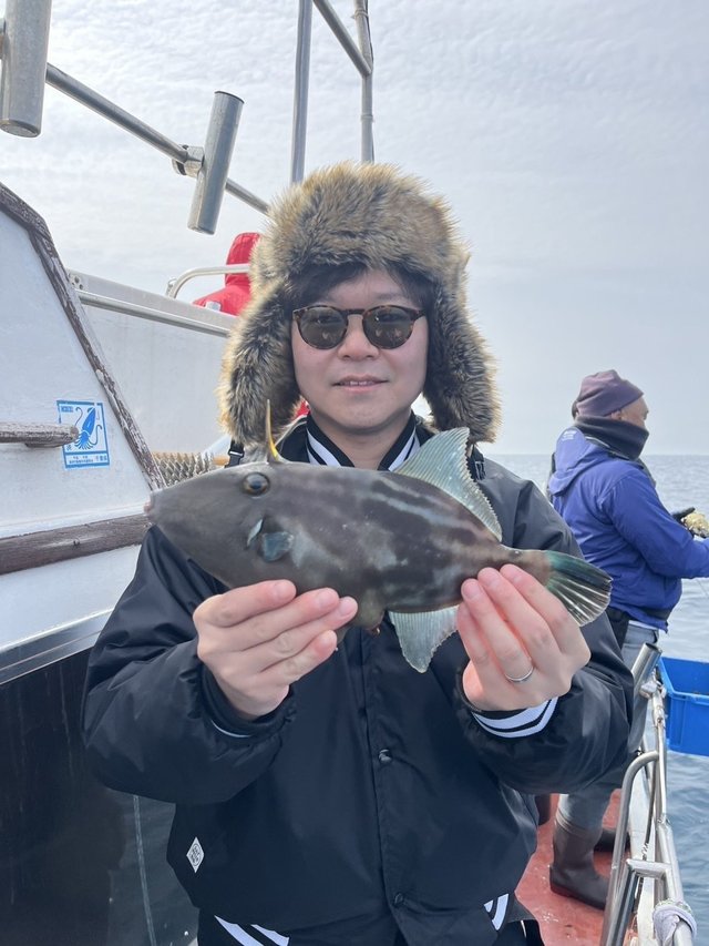 ウマズラハギ(ウマヅラハギ)