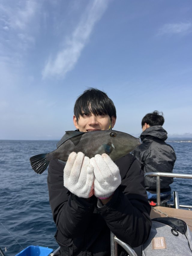 ウマズラハギ(ウマヅラハギ)