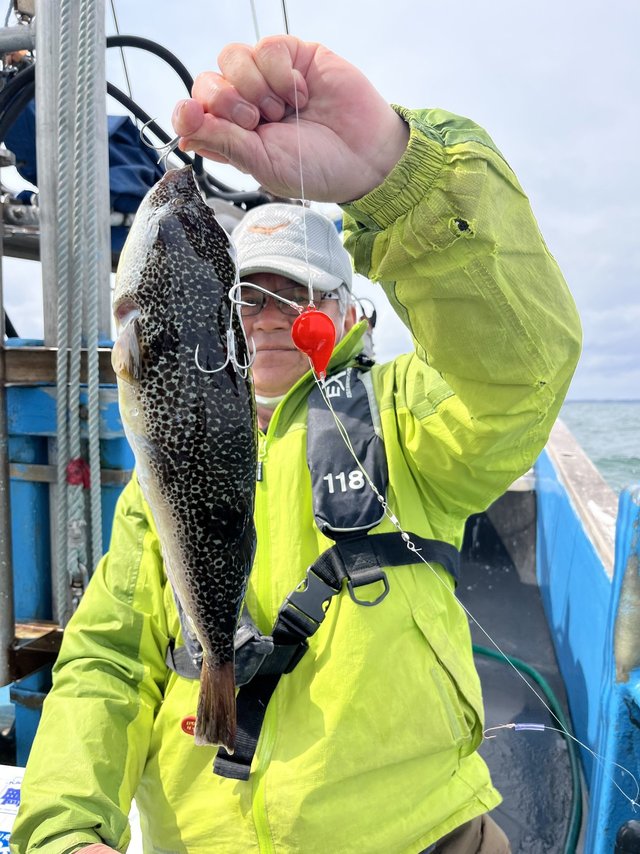 ショウサイフグ