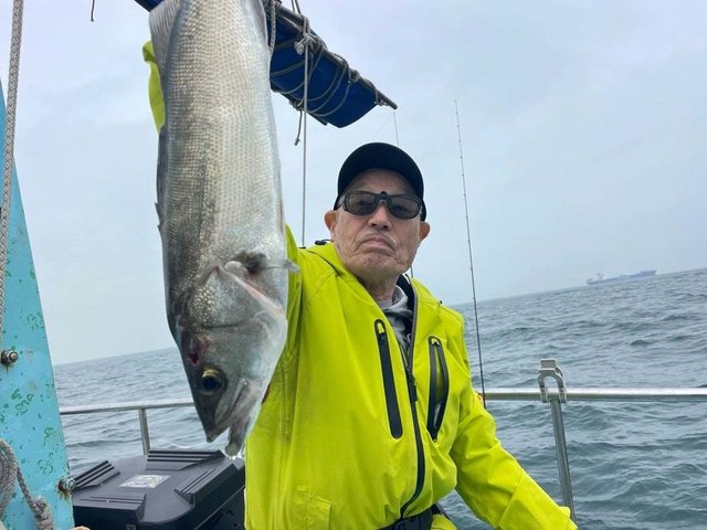 シーバス(スズキ)