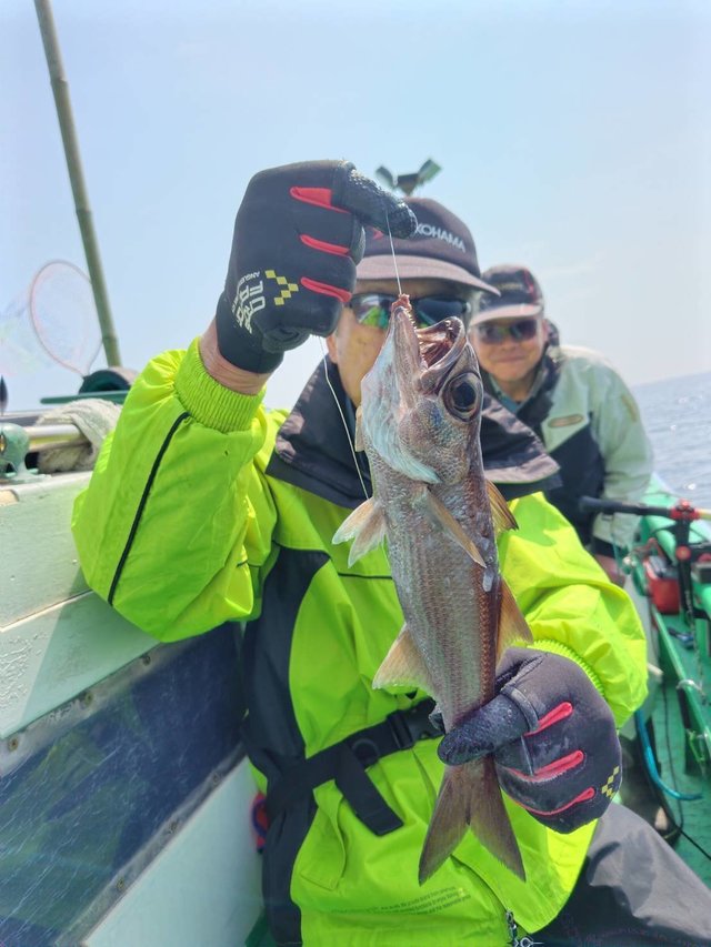 ムツ(クロムツ)