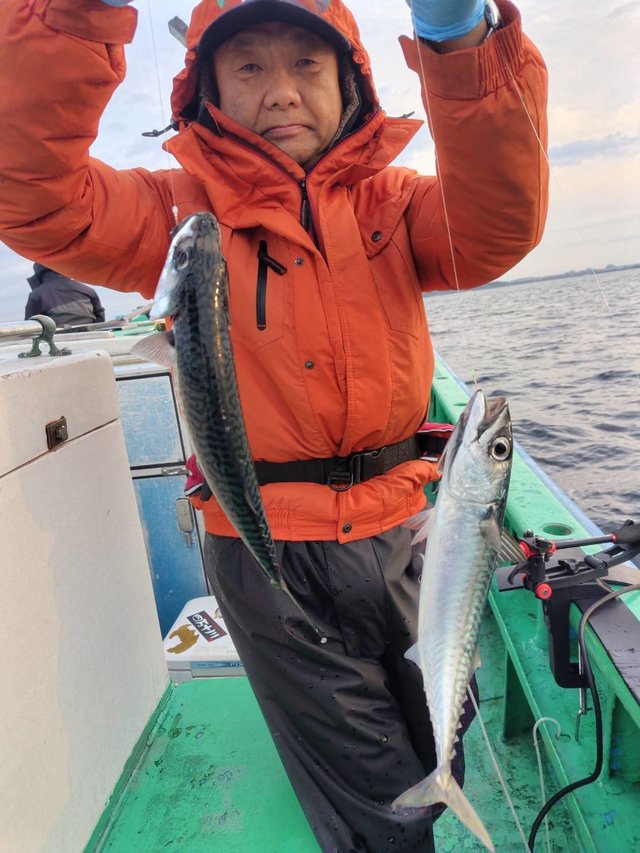 サバ(ゴマサバ)