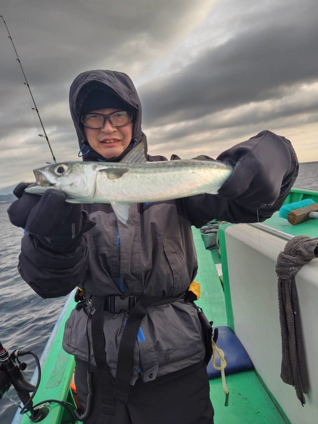 サバ(ゴマサバ)