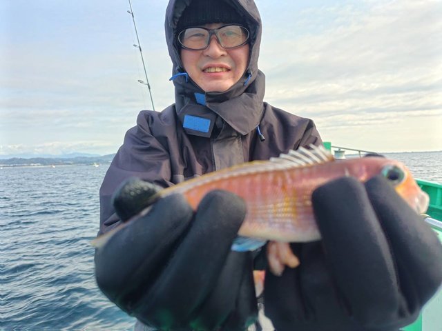 アマダイ(アカアマダイ)