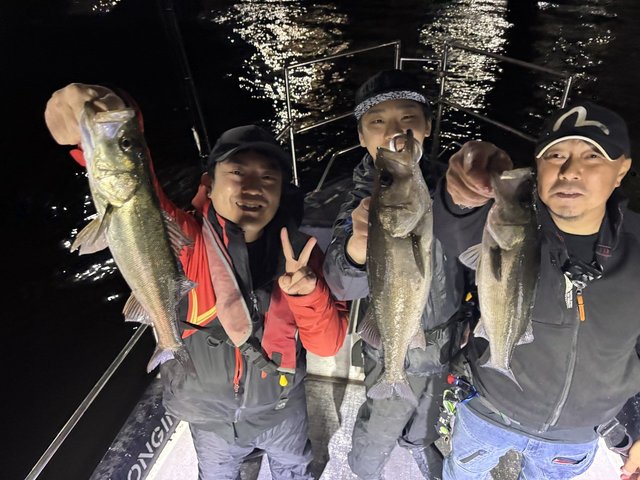 シーバス(スズキ)