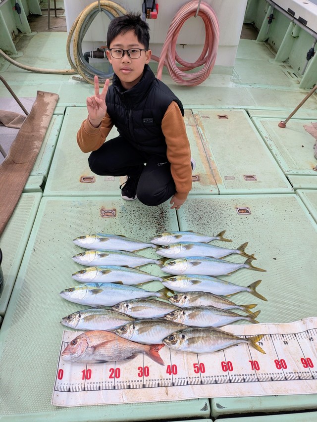 タイ(マダイ)・アジ(マアジ)・ハマチ(ブリ)