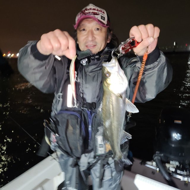 シーバス(スズキ)