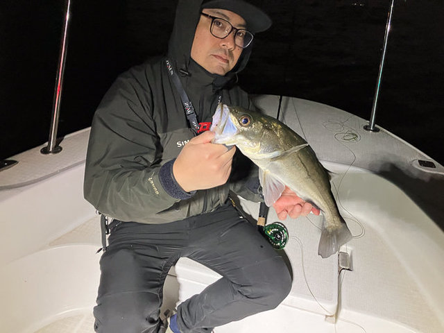 シーバス(スズキ)