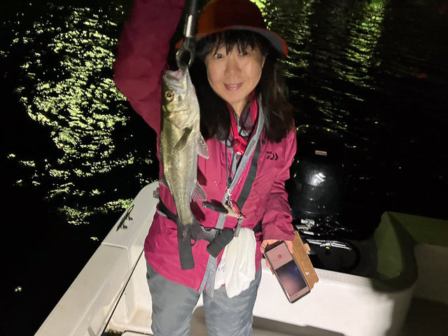 シーバス(スズキ)