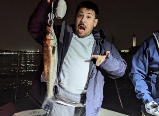 シーバス(スズキ)