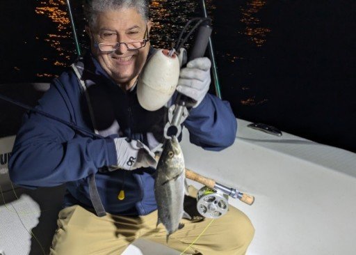 シーバス(スズキ)