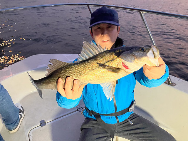 シーバス(スズキ)