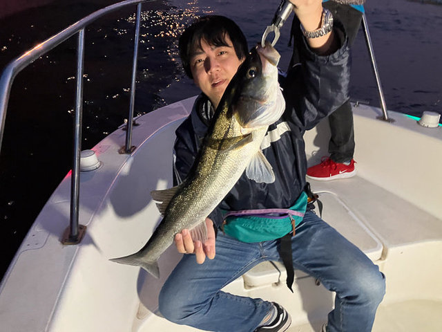 シーバス(スズキ)