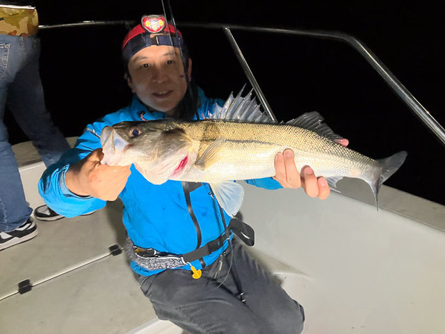 シーバス(スズキ)