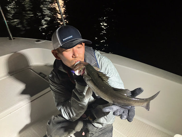 シーバス(スズキ)