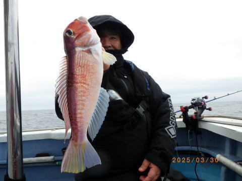 アマダイ(アカアマダイ)