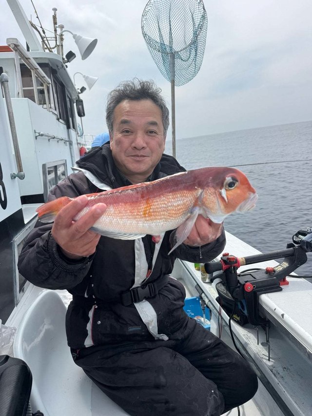 アマダイ(アカアマダイ)