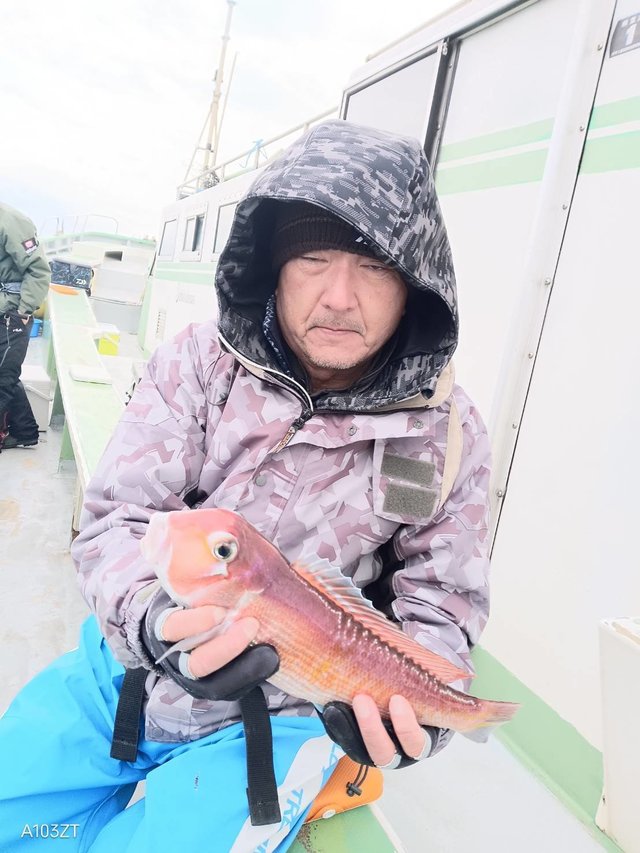 アマダイ(アカアマダイ)