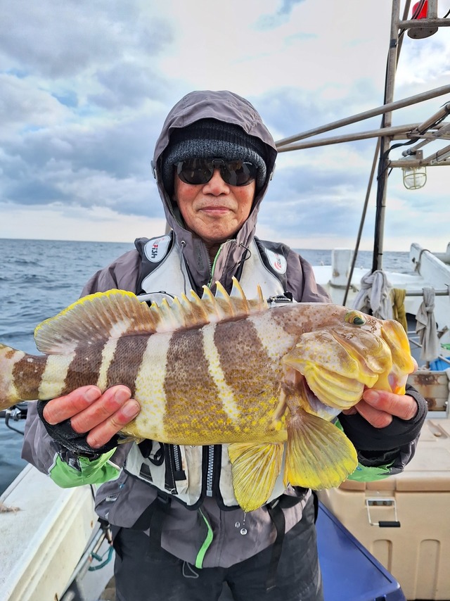 アオナ(アオハタ)