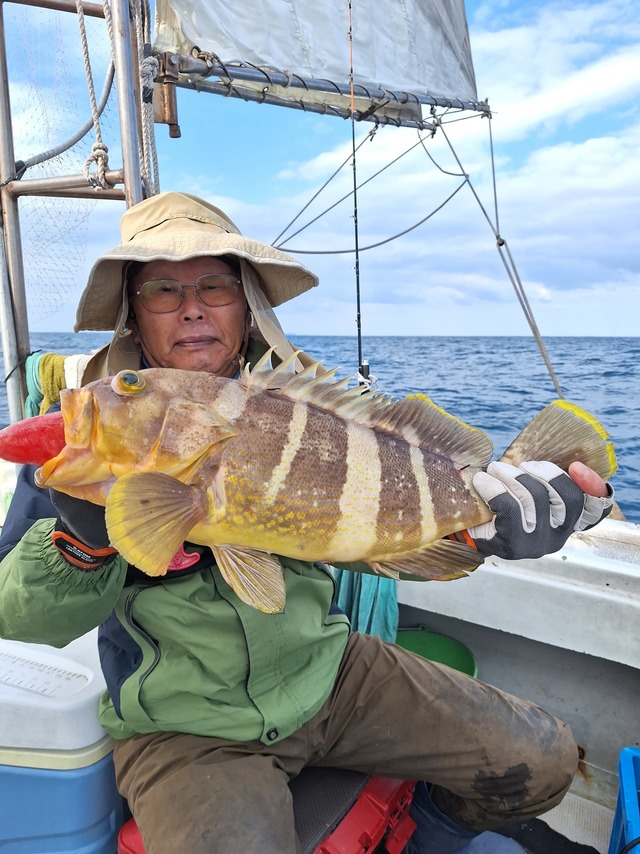 アオナ(アオハタ)