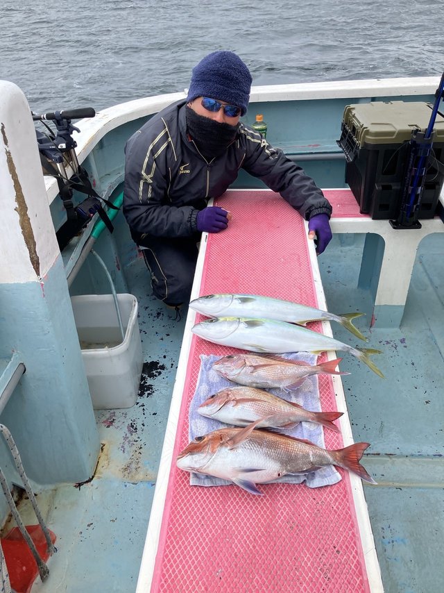 マダイ・イナダ(ブリ)