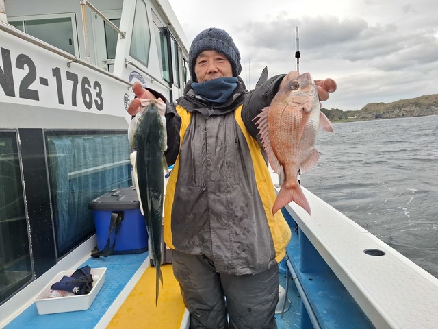 マダイ・イナダ(ブリ)