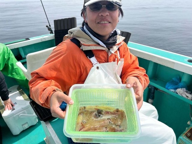 マルイカ(ケンサキイカ)