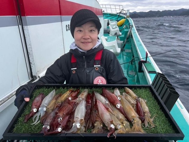 マルイカ(ケンサキイカ)・ムギイカ(スルメイカ)